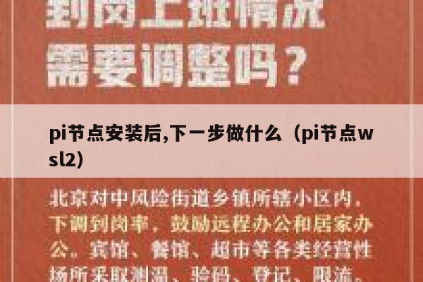 pi节点安装后,下一步做什么（pi节点wsl2） 第1张
