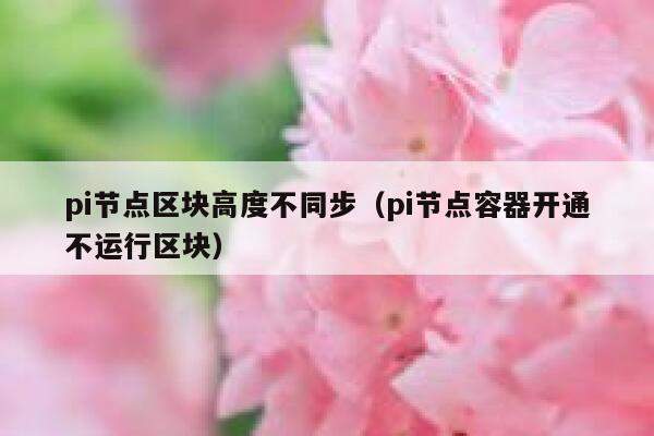 pi节点区块高度不同步(pi节点容器开通不运行区块) 第1张 pi节点区块高度不同步(pi节点容器开通不运行区块) 第1张
