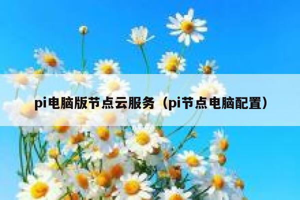 pi电脑版节点云服务（pi节点电脑配置） 第1张