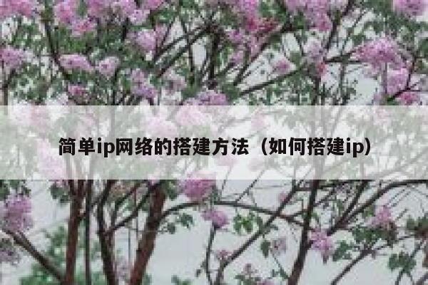 简单ip网络的搭建方法（如何搭建ip） 第1张