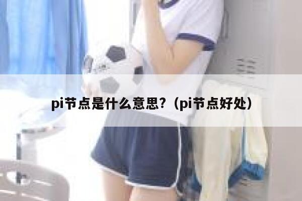pi节点是什么意思?（pi节点好处） 第1张