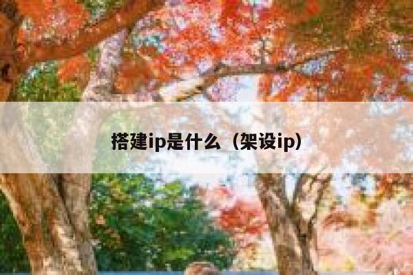 搭建ip是什么（架设ip） 第1张