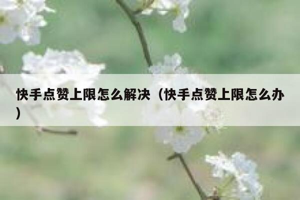 快手点赞上限怎么解决（快手点赞上限怎么办） 第1张