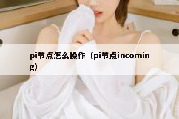 pi节点怎么操作（pi节点incoming） 第1张