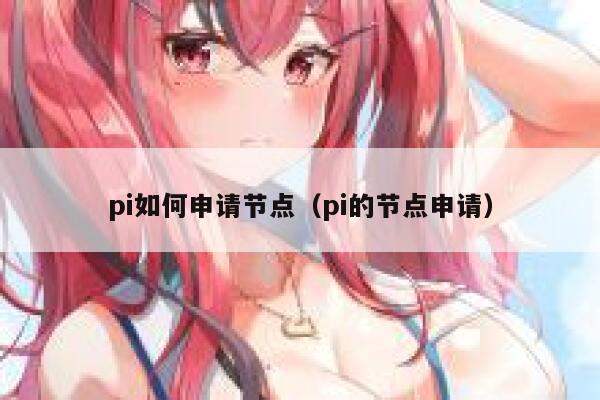 pi如何申请节点（pi的节点申请） 第1张
