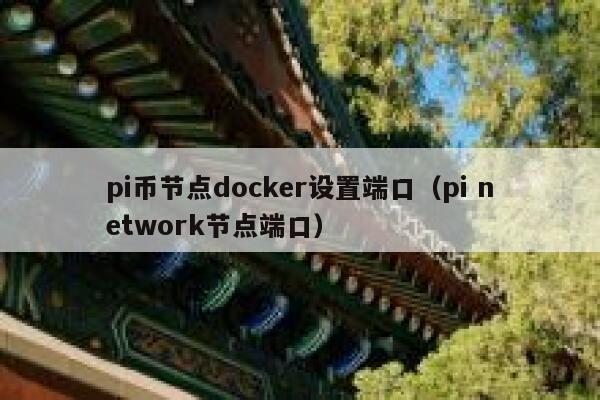 pi币节点docker设置端口（pi network节点端口） 第1张