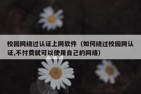 校园网绕过认证上网软件（如何绕过校园网认证,不付费就可以使用自己的网络） 第1张