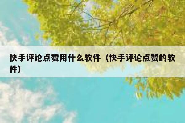 快手评论点赞用什么软件（快手评论点赞的软件） 第1张