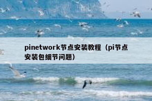 pinetwork节点安装教程（pi节点安装包细节问题） 第1张