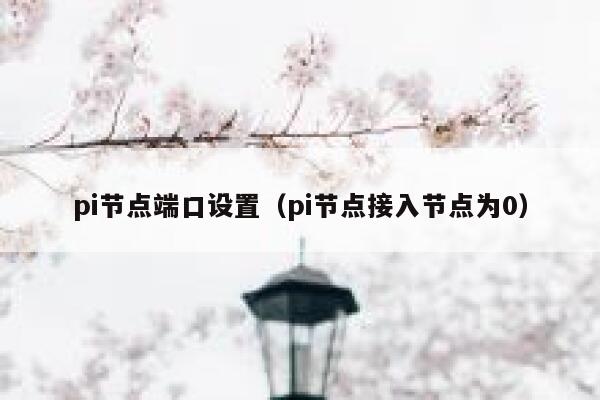 pi节点端口设置(pi节点接入节点为0) 第1张 pi节点端口设置(pi节点接入节点为0) 第1张