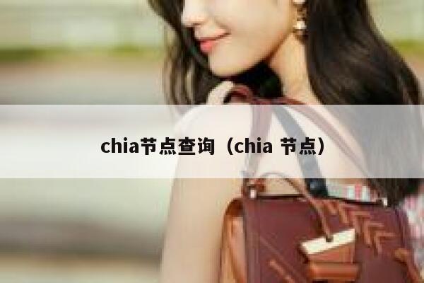 chia节点查询（chia 节点） 第1张