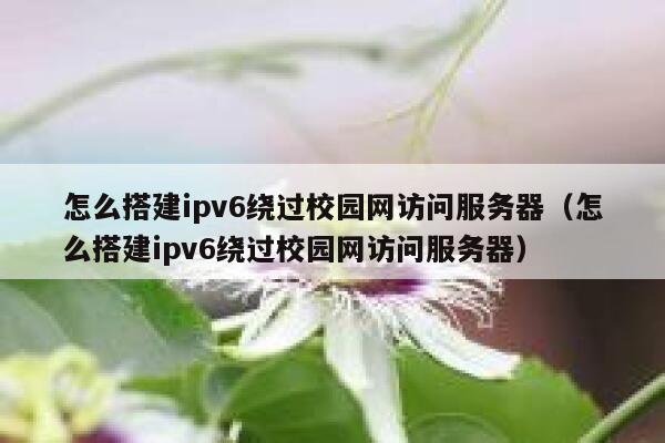 怎么搭建ipv6绕过校园网访问服务器（怎么搭建ipv6绕过校园网访问服务器） 第1张
