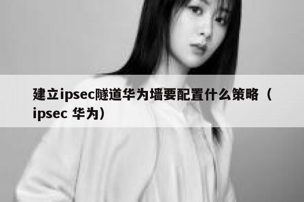 建立ipsec隧道华为墙要配置什么策略（ipsec 华为） 第1张