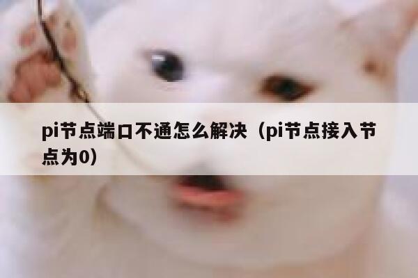 pi节点端口不通怎么解决（pi节点接入节点为0） 第1张