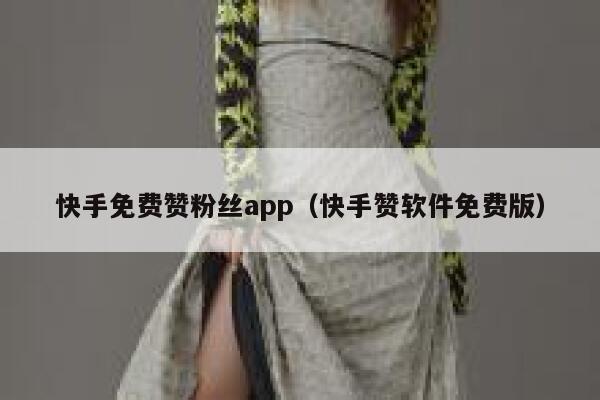 快手免费赞粉丝app(快手赞软件免费版) 第1张 快手免费赞粉丝app(快手赞软件免费版) 第1张