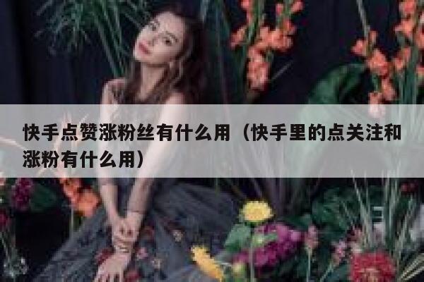 快手点赞涨粉丝有什么用(快手里的点关注和涨粉有什么用) 第1张 快手点赞涨粉丝有什么用(快手里的点关注和涨粉有什么用) 第1张