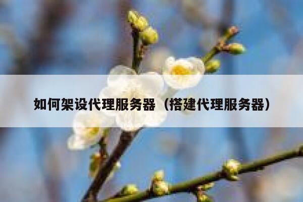 如何架设代理服务器（搭建代理服务器） 第1张