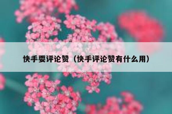 快手耍评论赞（快手评论赞有什么用） 第1张