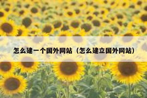 怎么建一个国外网站（怎么建立国外网站） 第1张