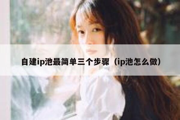 自建ip池最简单三个步骤（ip池怎么做） 第1张