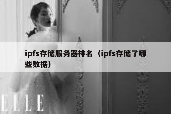 ipfs存储服务器排名（ipfs存储了哪些数据） 第1张