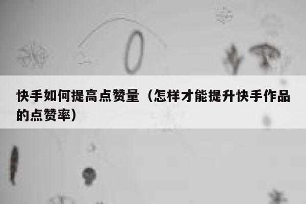 快手如何提高点赞量（怎样才能提升快手作品的点赞率） 第1张