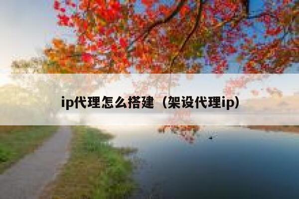 ip代理怎么搭建（架设代理ip） 第1张