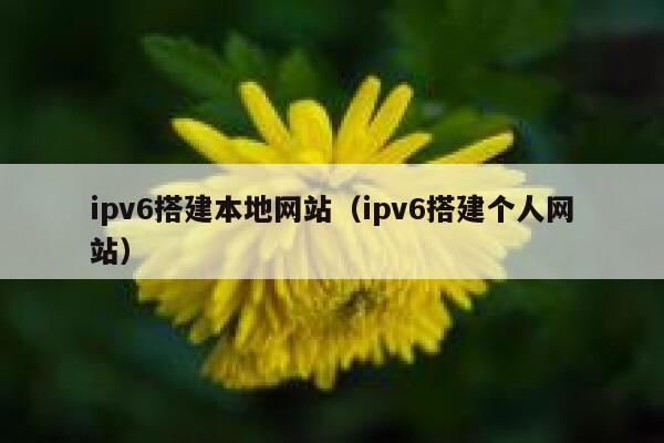 ipv6搭建本地网站(ipv6搭建个人网站) 第1张 ipv6搭建本地网站(ipv6搭建个人网站) 第1张