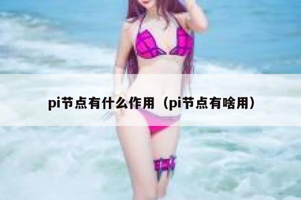 pi节点有什么作用(pi节点有啥用) 第1张 pi节点有什么作用(pi节点有啥用) 第1张