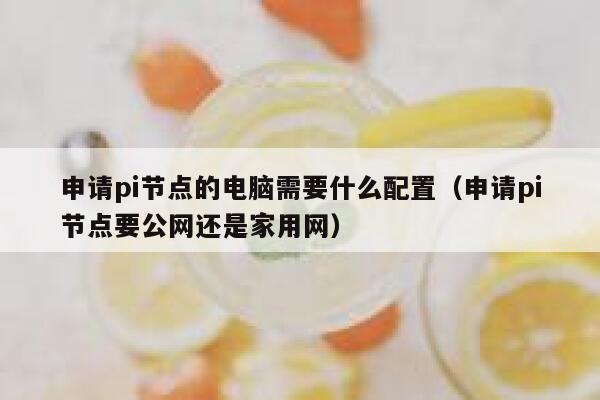申请pi节点的电脑需要什么配置(申请pi节点要公网还是家用网) 第1张 申请pi节点的电脑需要什么配置(申请pi节点要公网还是家用网) 第1张
