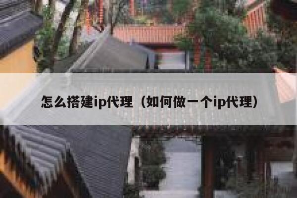 怎么搭建ip代理(如何做一个ip代理) 第1张 怎么搭建ip代理(如何做一个ip代理) 第1张