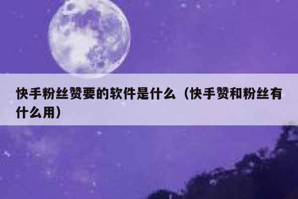 快手粉丝赞要的软件是什么(快手赞和粉丝有什么用) 第1张 快手粉丝赞要的软件是什么(快手赞和粉丝有什么用) 第1张