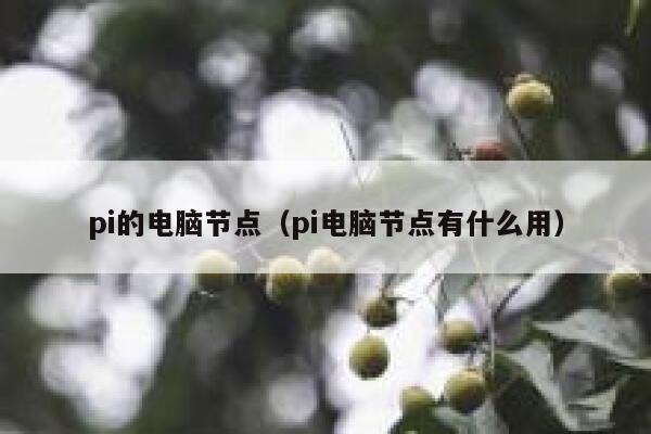 pi的电脑节点（pi电脑节点有什么用） 第1张
