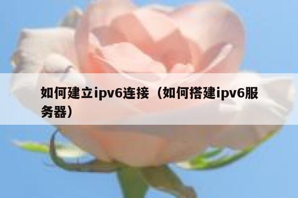 如何建立ipv6连接（如何搭建ipv6服务器） 第1张