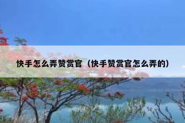 快手怎么弄赞赏官（快手赞赏官怎么弄的） 第1张