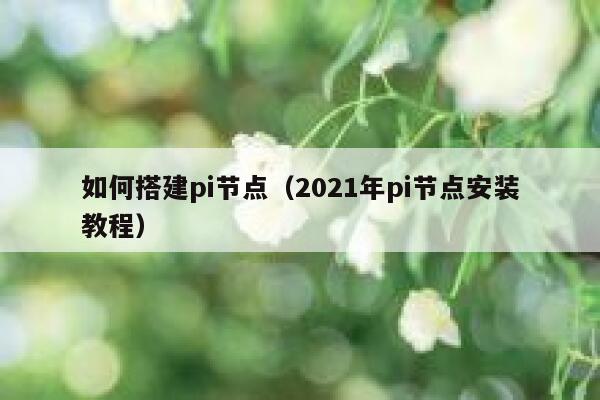 如何搭建pi节点（2021年pi节点安装教程） 第1张