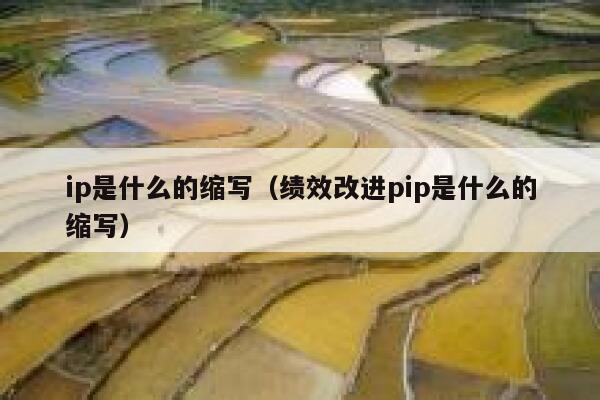 ip是什么的缩写(绩效改进pip是什么的缩写) 第1张 ip是什么的缩写(绩效改进pip是什么的缩写) 第1张