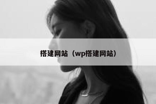 搭建网站（wp搭建网站） 第1张