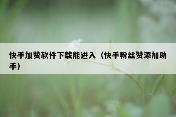 快手加赞软件下载能进入（快手粉丝赞添加助手） 第1张