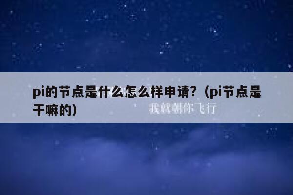 pi的节点是什么怎么样申请?（pi节点是干嘛的） 第1张