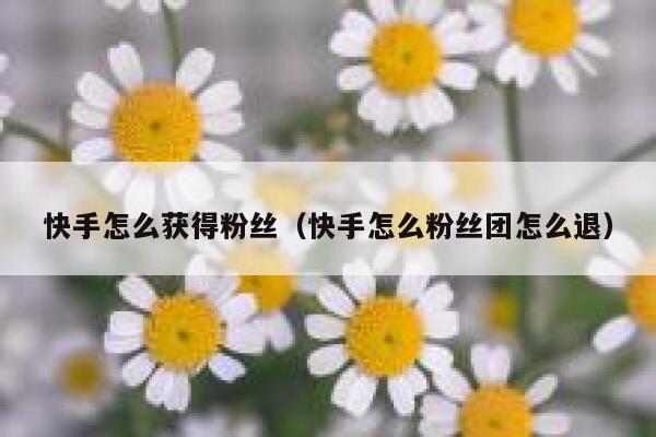 快手怎么获得粉丝（快手怎么粉丝团怎么退） 第1张