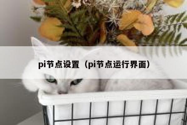 pi节点设置（pi节点运行界面） 第1张