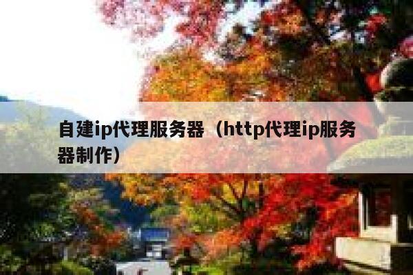 自建ip代理服务器（http代理ip服务器制作） 第1张