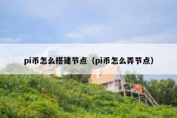 pi币怎么搭建节点（pi币怎么弄节点） 第1张