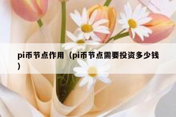 pi币节点作用(pi币节点需要投资多少钱) 第1张 pi币节点作用(pi币节点需要投资多少钱) 第1张