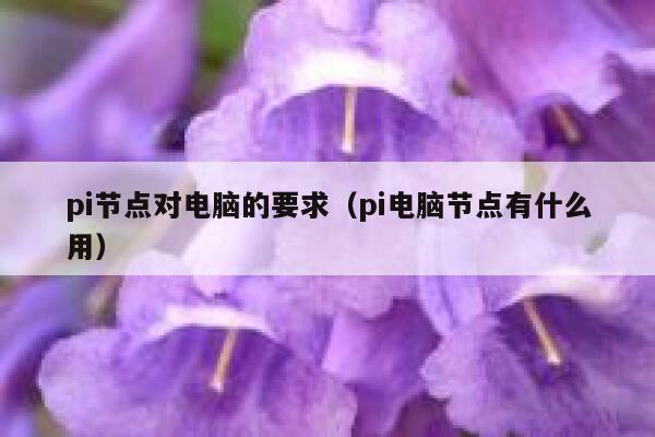pi节点对电脑的要求(pi电脑节点有什么用) 第1张 pi节点对电脑的要求(pi电脑节点有什么用) 第1张