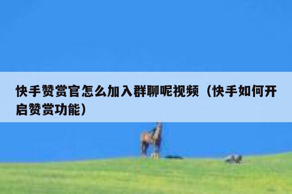 快手赞赏官怎么加入群聊呢视频（快手如何开启赞赏功能） 第1张