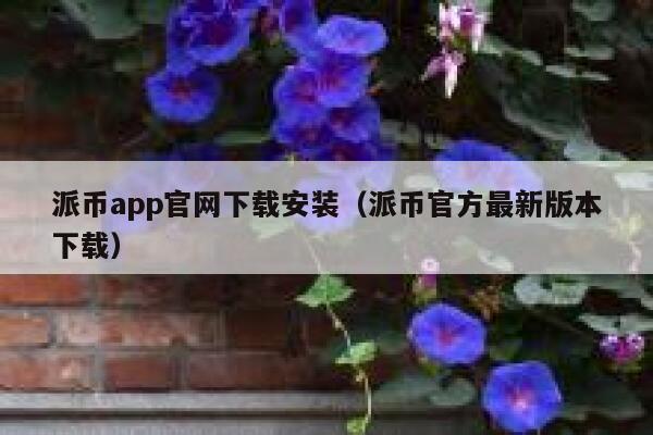 派币app官网下载安装（派币官方最新版本下载） 第1张