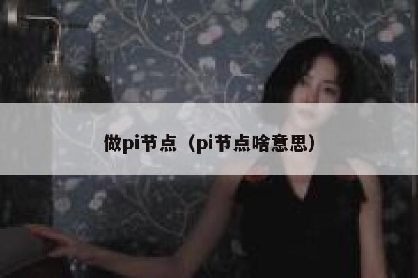 做pi节点（pi节点啥意思） 第1张