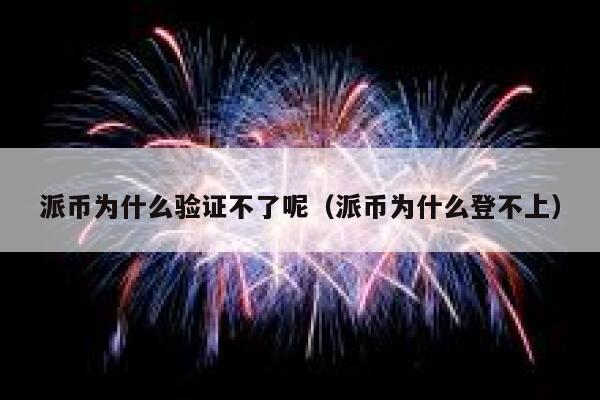 派币为什么验证不了呢（派币为什么登不上） 第1张